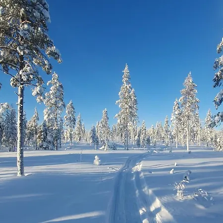 Spacious Modern House For Winter