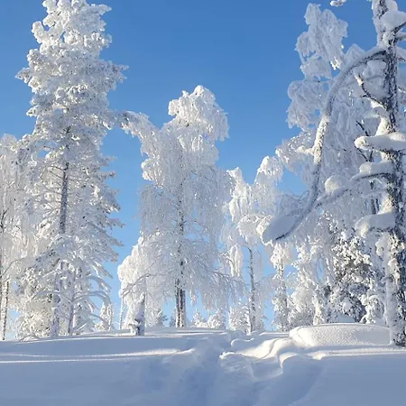 Spacious Modern House For Winter Huvilat