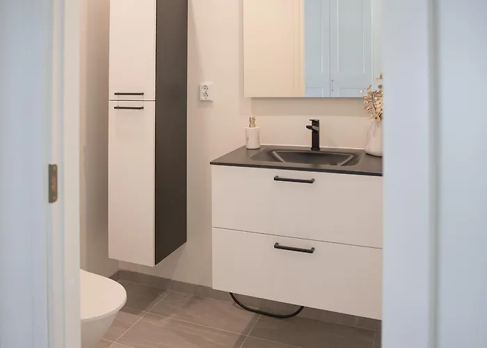 Spacious Modern House For Winter Willa