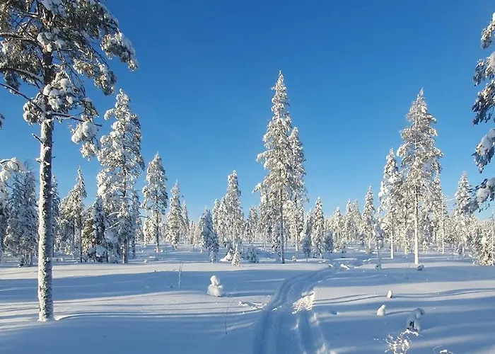 Spacious Modern House For Winter