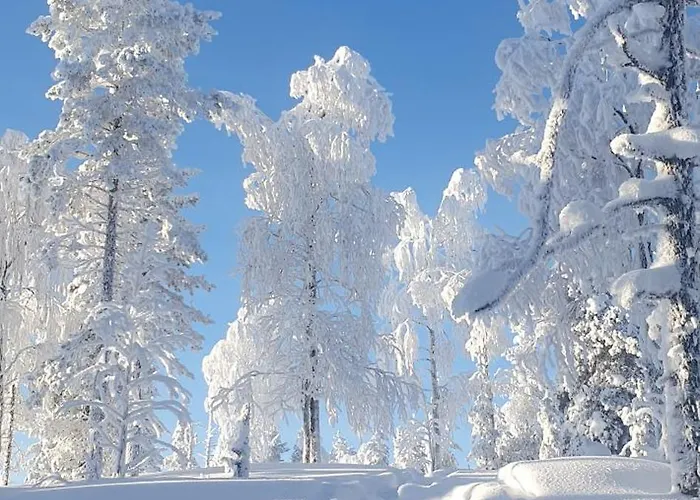 Spacious Modern House For Winter Villa