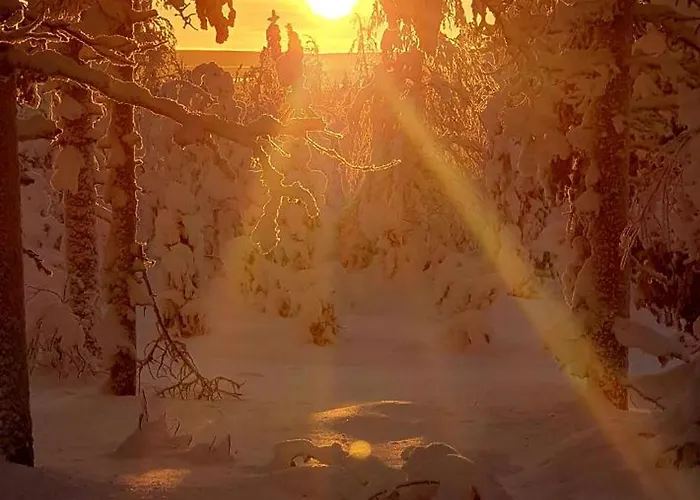 Spacious Modern House For Winter * Rovaniemi